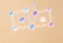 知识库检索中如何实现自然语言处理的精准匹配？-Raccoon