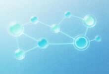 怎么利用AI技术提升搜索体验？-Raccoon