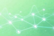 AI资产管理解决方案哪家专业？-Raccoon