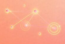 文档关键信息提取开源工具推荐：PaddleOCR vs Tesseract-Raccoon