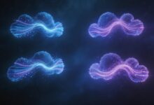 AI做方案的成本高吗?免费替代方案-Raccoon