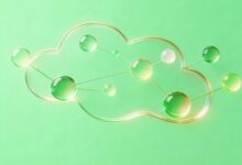 安全数据库的加密技术与实施步骤-Raccoon