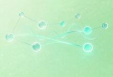 知识库检索中的常见误区及AI解决方案是什么？-Raccoon