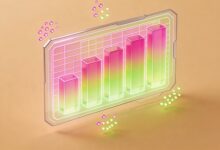 知识库的统一管理与跨平台共享如何实现？-Raccoon