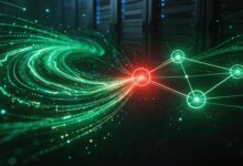 专属知识库与通用知识库的区别-Raccoon