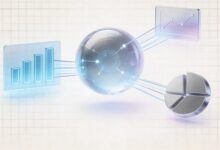 个性化方案怎么生成？AI方案生成工具-Raccoon