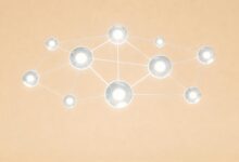 如何通过数据分析实现个性化信息分析与预测？-Raccoon