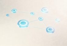 如何用AI做市场营销方案？AI制定推广计划的实战案例分享-Raccoon