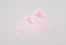 数据特征分析Python代码示例：特征选择、降维与标准化处理-Raccoon