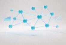 任务增强训练提升AI解生物遗传题准确率的实验-Raccoon