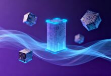 大模型分析信息的安全性如何保障?-Raccoon