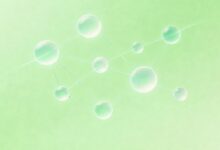 知识管理中的AI技术应用场景-Raccoon