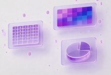 AI智能规划数据的隐私安全问题-Raccoon