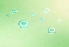 用户数据分析的AARRR模型具体怎么用？-Raccoon