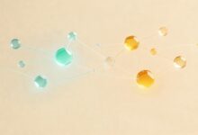 关键要素提取的机器学习模型推荐-Raccoon