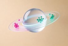 2026年最值得用的AI规划软件盘点-Raccoon