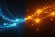 如何制定个性化计划以提升团队协作？-Raccoon