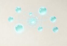 私密知识库的建设步骤与注意事项-Raccoon