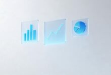 大模型快速分析海量数据的实战技巧-Raccoon