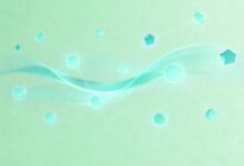 用户画像数据分析流程和维度？-Raccoon