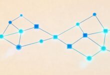 个性化计划生成的步骤是什么？-Raccoon