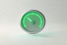 如何在企业级AI资产管理平台上进行权限设置？-Raccoon