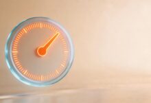 AI办公工具的常见故障及排除方法-Raccoon