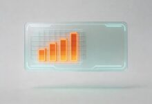 个性化计划的制定流程有哪些？-Raccoon