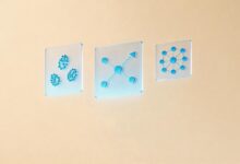 个性化写作在品牌内容策略中有哪些价值？-Raccoon