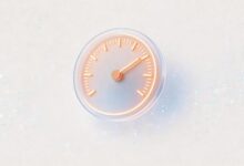 智能办公助手价格多少-Raccoon