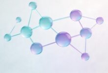 个性化信息分析平台选型要注意哪些要点？-Raccoon