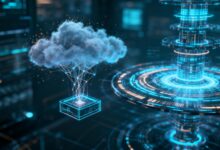 个性化方案生成软件有哪些？推荐测评-Raccoon