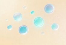 AI要素提取的实战案例分享-Raccoon