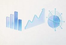 实时数据分析在直播电商中的应用-Raccoon