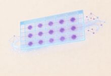 AI在知识检索中的最新趋势-Raccoon
