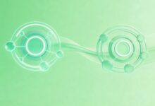 AI解课题研究的完整流程方法-Raccoon