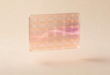 智能规划的未来发展趋势？-Raccoon