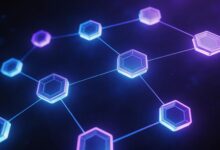 数智化升级需要哪些基础设施？-Raccoon