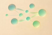 个人知识库的构建工具有哪些？-Raccoon