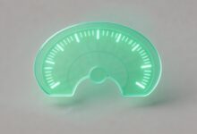 私有知识库的数据加密方案-Raccoon