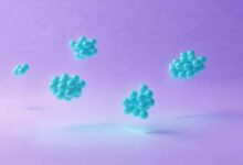 个性化方案在AI资产管理中能发挥哪些作用？-Raccoon