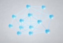 用户数据分析隐私保护合规指南-Raccoon