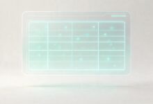 知识库搜索的SEO优化技巧-Raccoon