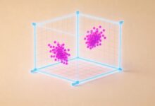 大模型分析信息如何保证隐私安全？-Raccoon