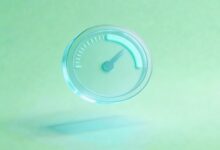 文档资产管理平台哪个好-Raccoon