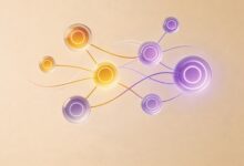 知识搜索排名怎么优化？-Raccoon