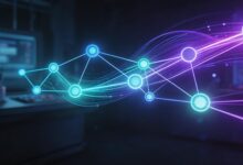 AI重点提取功能免费工具有吗?-Raccoon