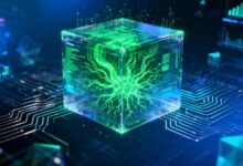 大模型要素提取准确吗？应用场景有哪些？-Raccoon