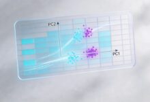 智能办公助理的收费标准是怎样的？-Raccoon