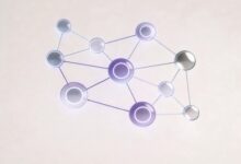 数智化升级的实施路径与时间规划是什么？-Raccoon